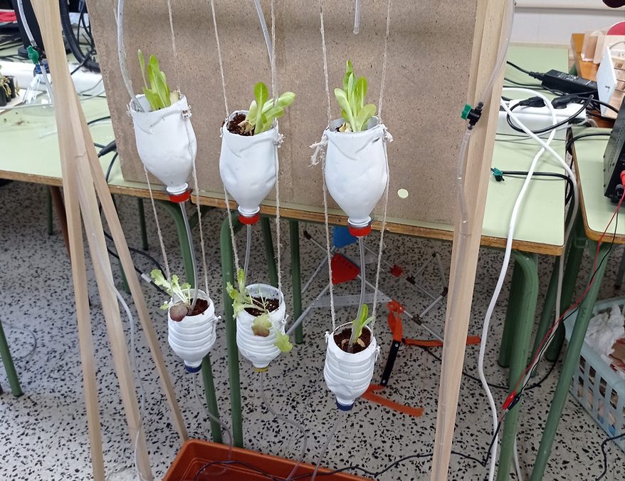 HUERTO HIDROPÓNICO DOMÉSTICO