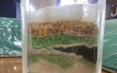 13.- Lluvia filtrada